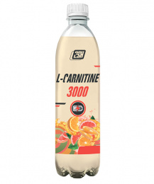 L-carnitine 3000 2SN