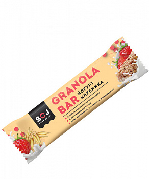 Granola bar Slice OF JOY