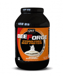 Beeforce QNT