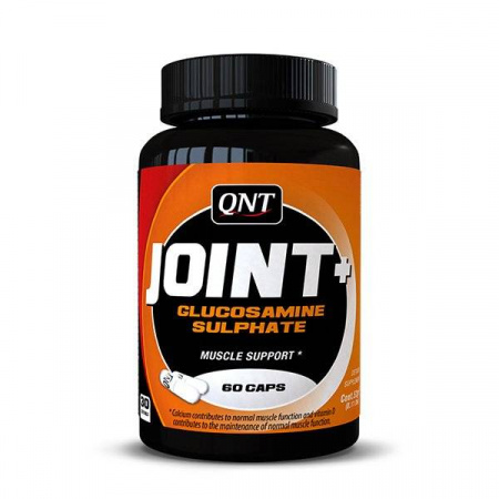Glucosamine Joint + Support QNT