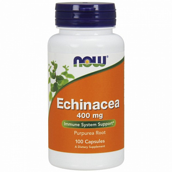 Echinacea Purpurea 400mg NOW