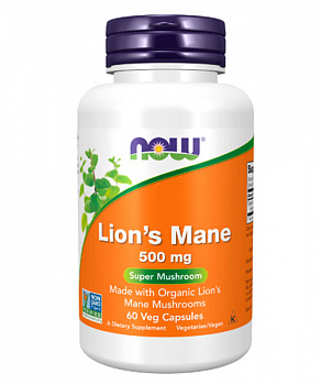 Lion's Mane NOW